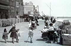 The-ongoing-fascination-with-Sea-Shells.-1908.